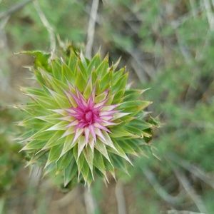 Meet your Posher, Trina