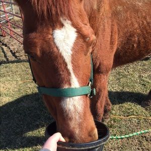 Meet your Posher, Lori