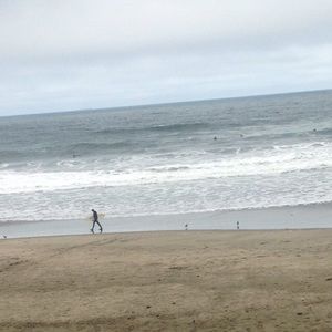 Meet your Posher Phil