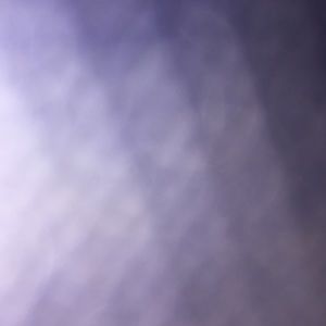 Meet your Posher, Daryl