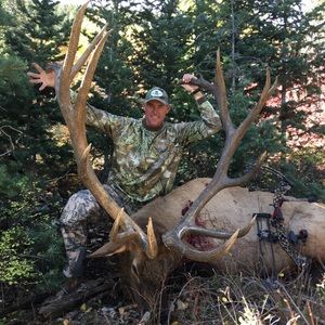 Meet your Posher, Shawn