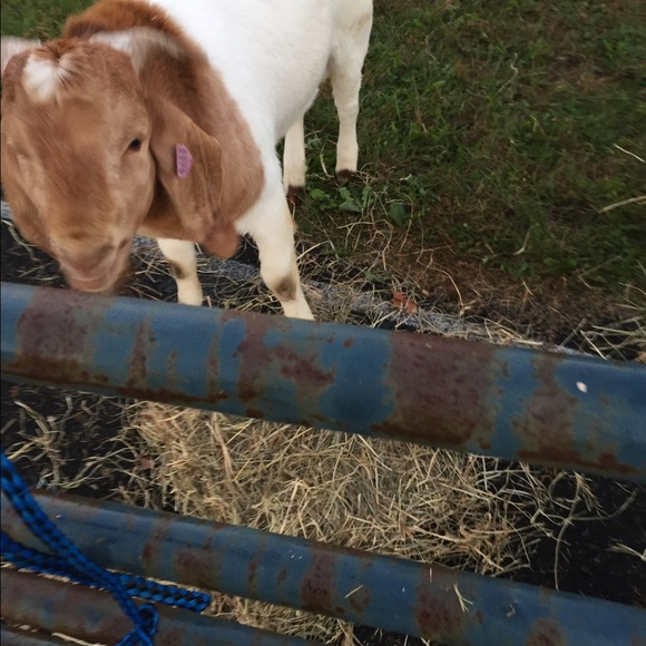 Meet your Posher, Christina