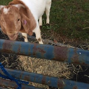 Meet your Posher, Christina