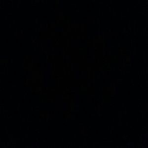 Meet your Posher, Carole