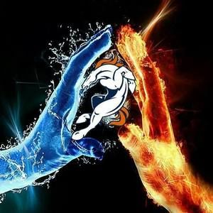 Meet your Posher, Joe