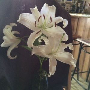 Meet your Posher, Cindy