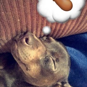 Meet your Posher, Lisbeth