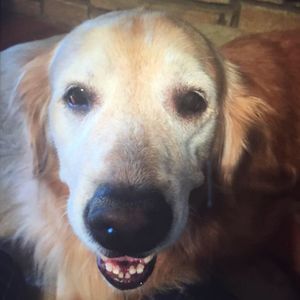 Meet your Posher, Beth