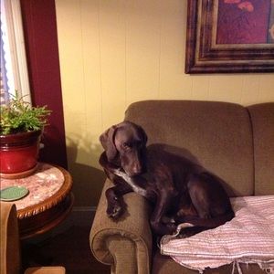 Meet your Posher, Carolyn