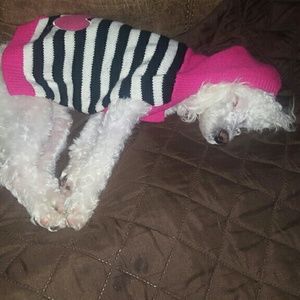 Meet your Posher, Beatriz