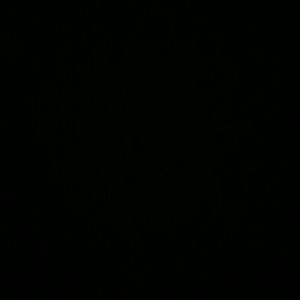 Meet your Posher, Ana