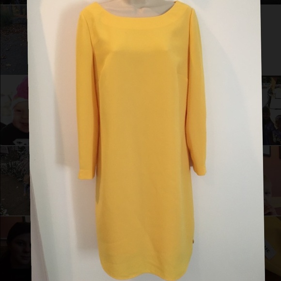 BR dress ! Beautiful fit worn only few times.