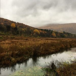 Meet your Posher, Shak