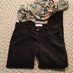 Rockstar velvet pants!!!