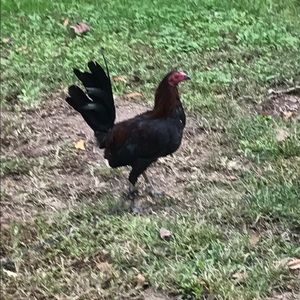 Meet your Posher, Jaime