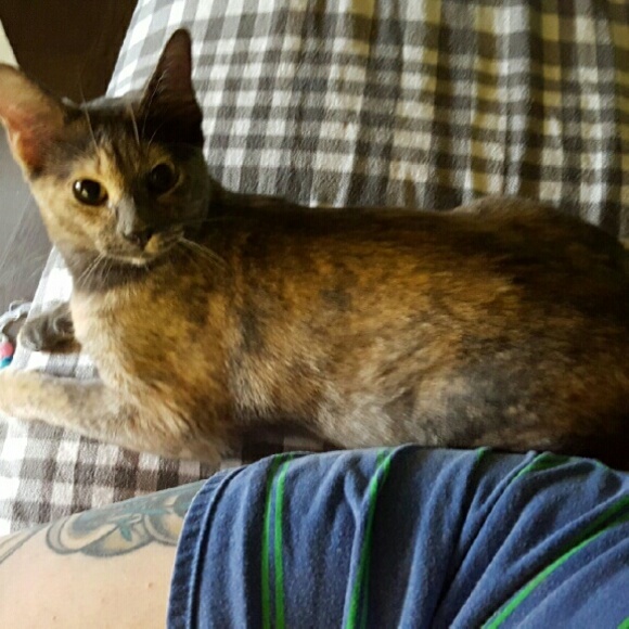 Meet your Posher, Sarah - Picture 1 of 1