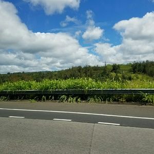 Meet your Posher, Rena