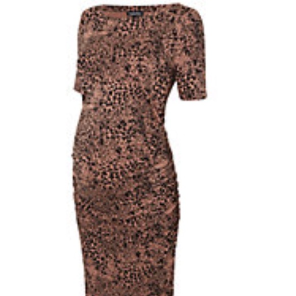 Isabella Oliver Clement print maternity dress