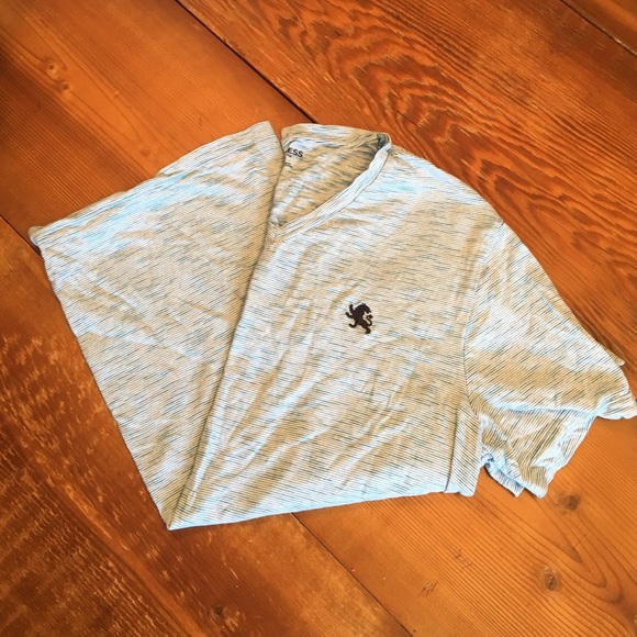 Express V-neck tee
