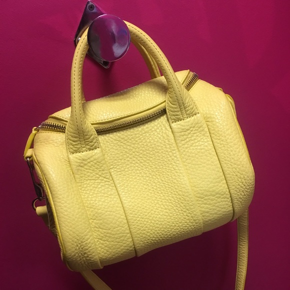 NWT 100% authentic Alexander Wang Rockie handbag🍋