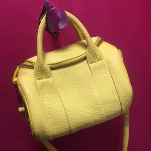 NWT 100% authentic Alexander Wang Rockie handbag🍋