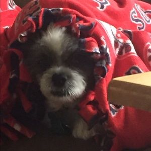 Meet your Posher, Melissa