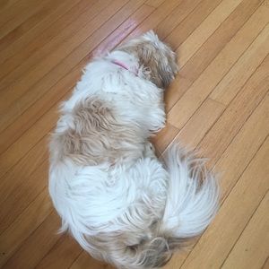 Meet your Posher, Stacy