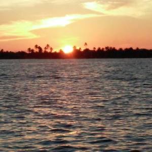 Meet your Posher, Ann