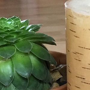 Meet your Posher, Rebecca