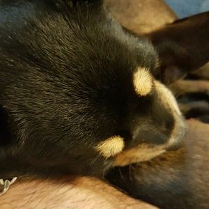 Meet your Posher, Kyle