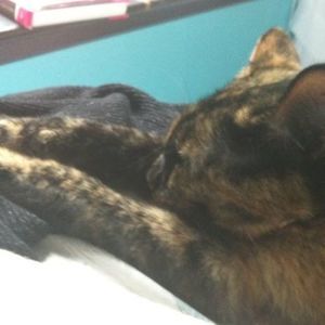 Meet your Posher, Jaime