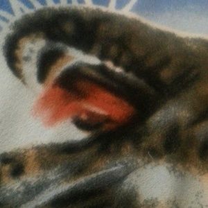 Meet your Posher, Jorge