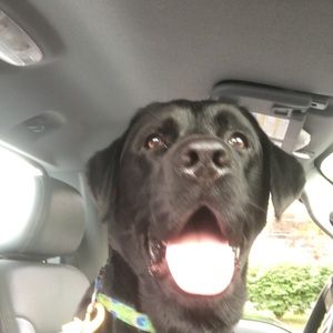 Meet your Posher, Brenda