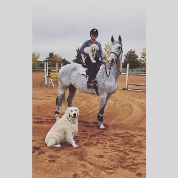 Meet your Posher, Evan