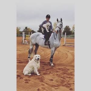 Meet your Posher, Evan