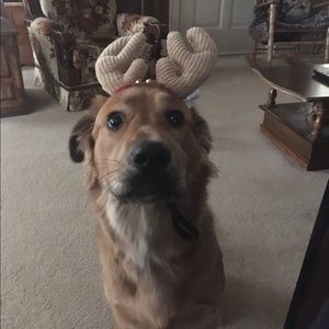 Meet your Posher, Aly