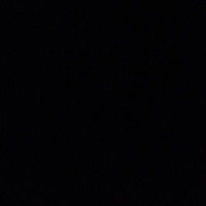 Meet your Posher, Elaina