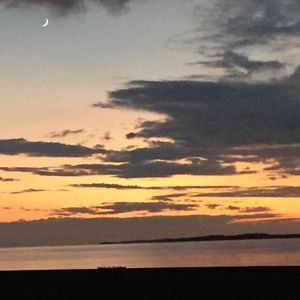 Meet your Posher, Suzanne