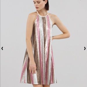 Ivory/Pink Striped Sequin Trapeze Dress