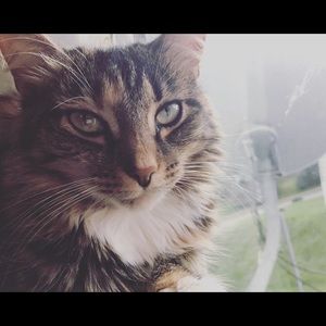 Meet your Posher, Val