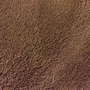 Meet your Posher, Tonya