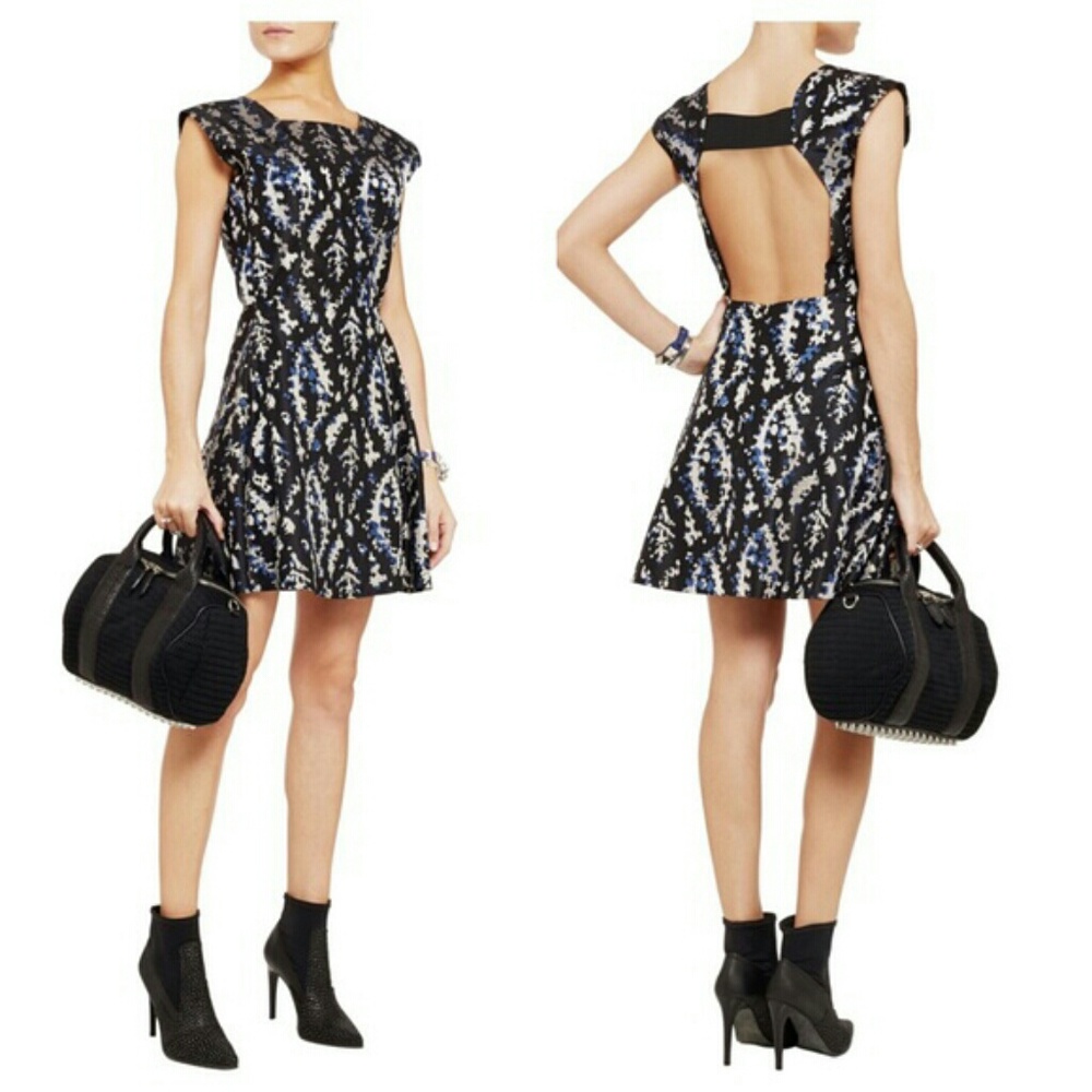 Theory Theyskens Darok Fembo Fit & Flare Dress