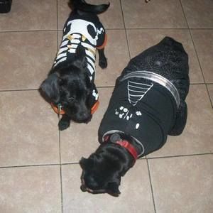 Meet your Posher, Margie