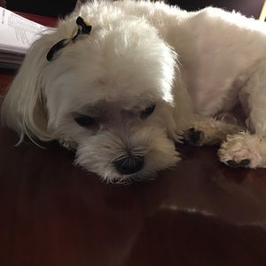 Meet your Posher, Sharon