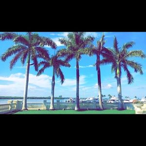 Meet your Posher, Grier