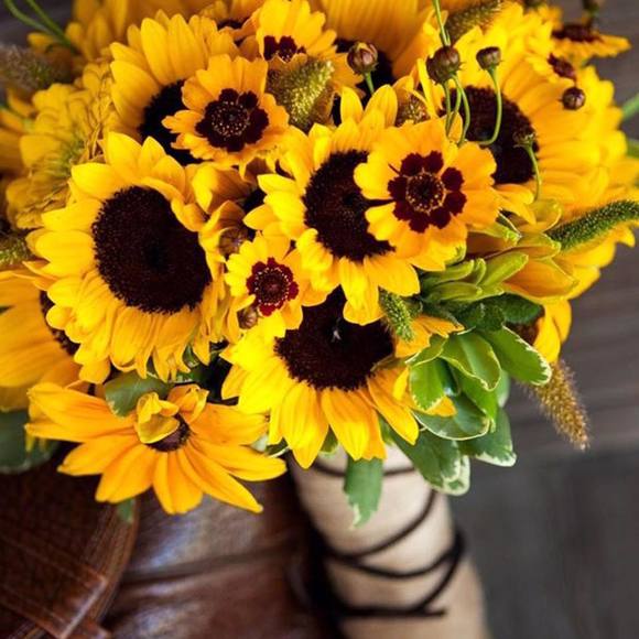 Meet your Posher, Lori