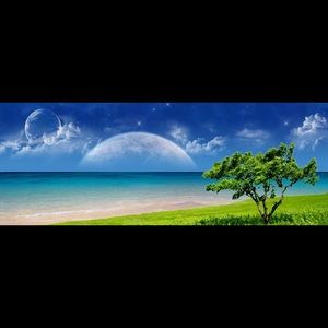 Meet your Posher, Jing jing