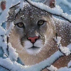 Meet your Posher, Anita