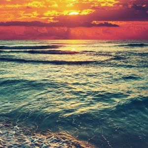 Meet your Posher, Judith