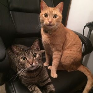 Meet your Posher, Tiffany